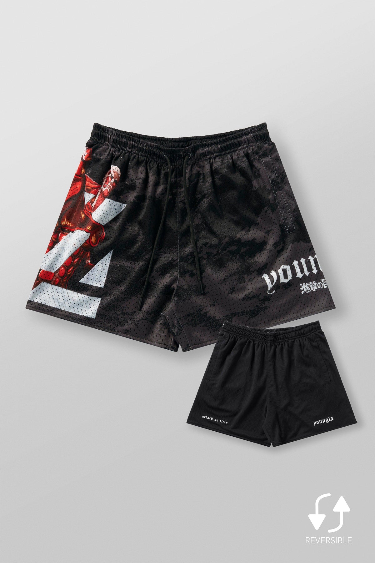 1126 - AOT? x YLA Mesh Shorts
